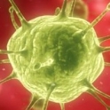 HPV DNA TEST! Θα αντικαταστήσει το test Παπανικολάου;